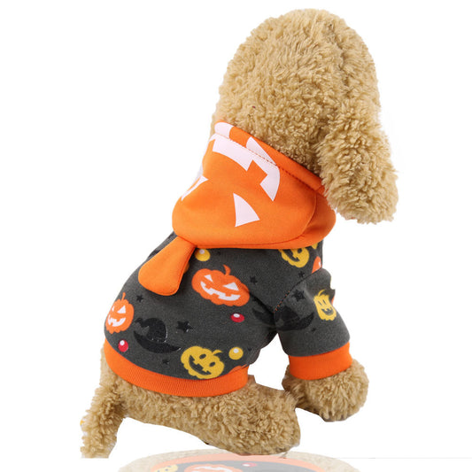 pumpkin dog costume