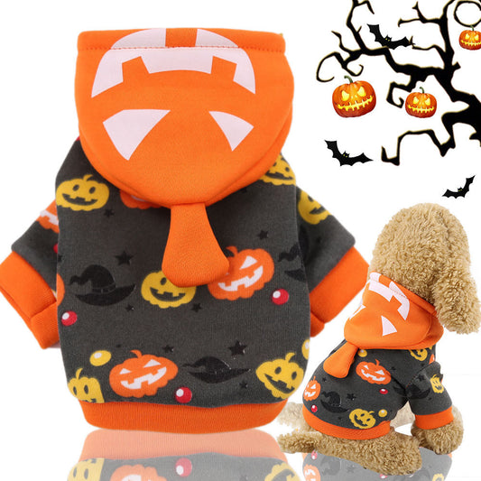pumpkin dog costume